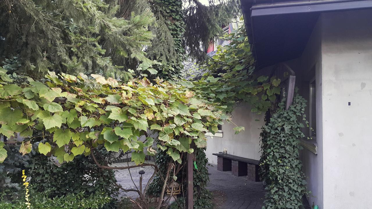 Pensjonat Europa Brzeziny Εξωτερικό φωτογραφία