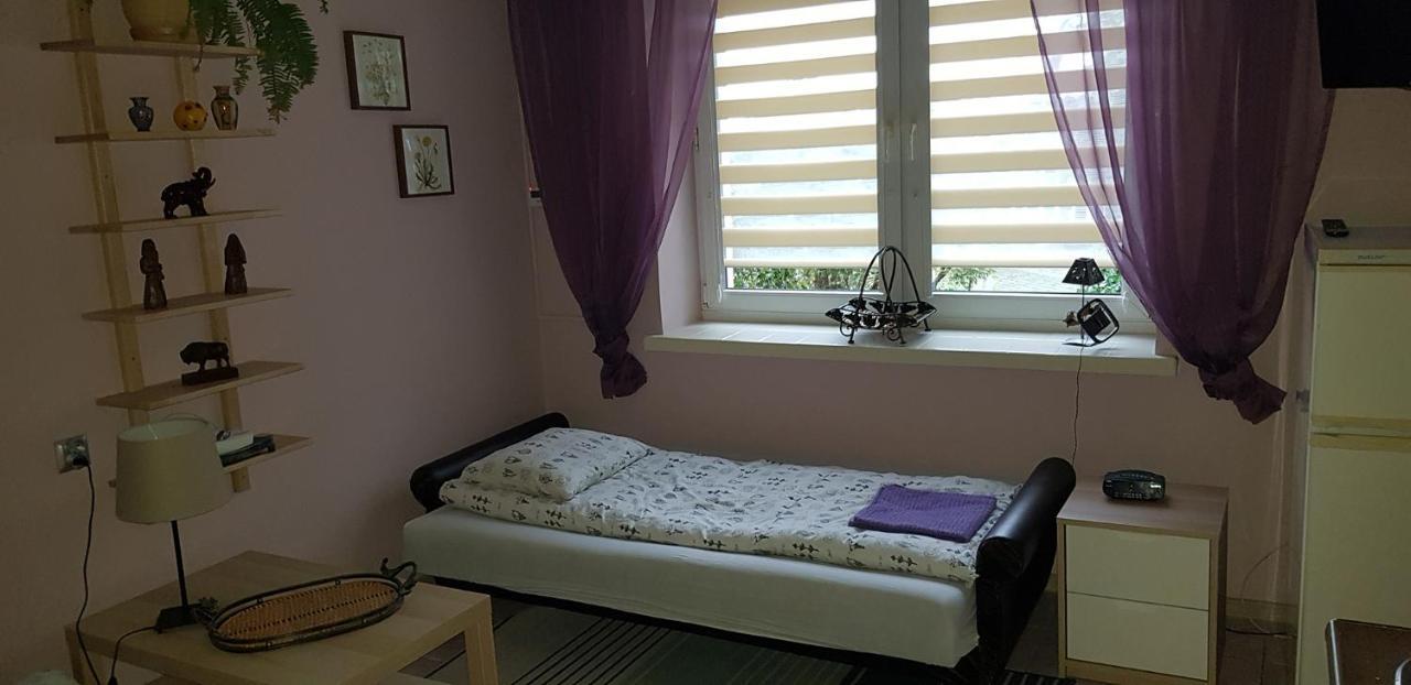 Pensjonat Europa Brzeziny Εξωτερικό φωτογραφία